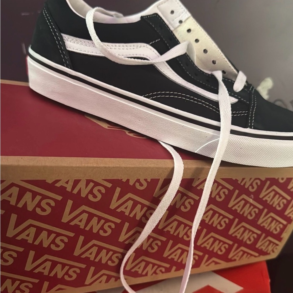 Vans Black and White Low-Top Skate Sneakers